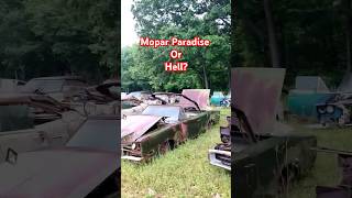 Mopar Paradise or Mopar Hell godscountry mopar salvage barnfind junkyard alabama dodge [upl. by Theola]