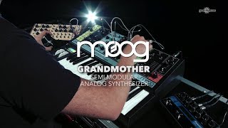 Moog Grandmother SemiModular Analog Synthesizer  Gear4music overview [upl. by Wernsman35]