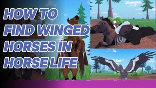 How to find winged horses  HORSE LIFE [upl. by Wilbur]