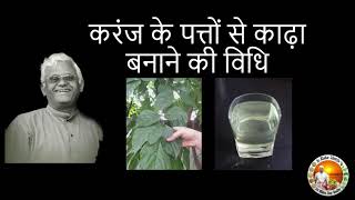 करंज पत्तों का काढ़ा  कषाय   Pongamia Pinnata Decoction  Hindi  Saptapatra  Dr Khadar [upl. by Onaicilef]