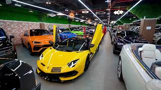 Ultimate Supercar Showroom in Dubai  Dourado Luxury Cars [upl. by Fonzie]