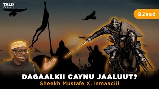 Dagaalkii Caynu Jaaluut iyo Jabkii Tataarka  Sheekh Mustafe Xaaji Ismaaciil HaaruunQ2aad [upl. by Adnoryt]