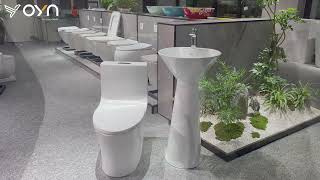 Siphonic Onepiece Toilet paired with an Artistic Design Pedestal Basin [upl. by Kciderf882]