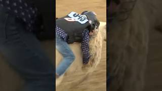 Mutton’ busting at Folsom Pro Rodeo [upl. by Dnaltroc]