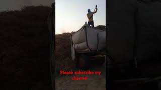 Moth claction I mpsgodara3836 I short vlog I godara namaste I short youtube [upl. by Rysler]