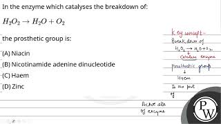 In the enzyme which catalyses the breakdown of H2O2 H2OO2the prosthetic group is [upl. by Enoob]