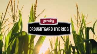 Genuity® DroughtGard® Hybrids The Innovator of Hydroefficiency [upl. by Assen]