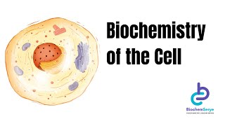 Part 5  Biochemistry of the Cell  BiochemSerye [upl. by Jennilee313]