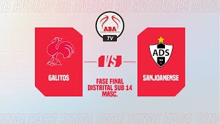 Fase Final Distrital de Sub 14 Masculino  Galitos vs Sanjoanense [upl. by Jefferson]