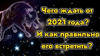 В чем встречать Новый 2023 год Кролика  Новогодние приметы [upl. by Rettke]