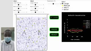 Molecule Movement Across a Semipermeable Membrane simulation  Science Experiment [upl. by Llenwahs]