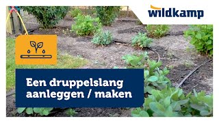 Een druppelslang aanleggen  maken  installeren [upl. by Dixie295]