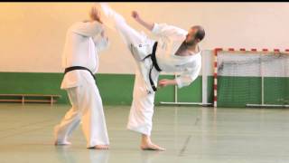 Karate Kyokushinkai  enchainements de combat par Alexandre PICHKUNOV [upl. by Malek]