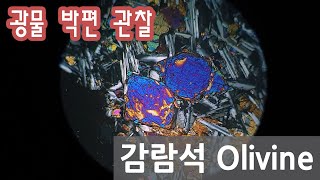 광물 감람석 박편 관찰하기 Olivine in thin section [upl. by Yuzik262]