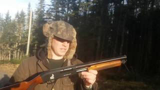 Sinsinati 20g pump action short shotgun Canada [upl. by Hutson]