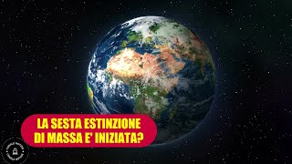 Per il pianeta potrebbe essere iniziata la 6a estinzione di massa lallarme di uno studio [upl. by Aigroeg]