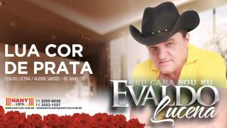 Evaldo Lucena  Lua Cor de Prata [upl. by Yawnoc]