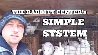 A SIMPLE RABBIT SYSTEM [upl. by Eirena]