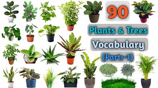 Plants amp Trees Vocabulary part1 ll About 90 Plants amp Trees Name in English With Pictures [upl. by Donaugh]