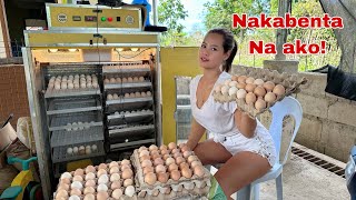 Unang Kinita ko sa Pagbenta nang Fertile Eggs nang Rhode Island Daming Orders [upl. by Hurwitz]