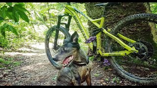 2020 Motobecane HAL Boost Eagle 275 Mountain Bike Review Bikesdirectcom BEST bike under 2000 [upl. by Blen]