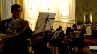 Mozart  Concierto para Corno No4 K495 1 [upl. by Leunam583]