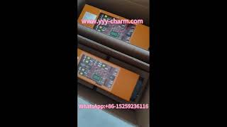 ChineseElectronic power supplies for UV application UV EPS supply constant power to UV lamp power [upl. by Enylodnewg]