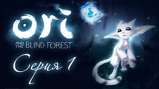 Обзор игры Ori and the Blind Forest Definitive Edition [upl. by Foy]