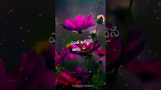 Telugu WhatsApp Status Telugu Dialogue Status Telugu WhatsApp Status Videos  Emotional Status [upl. by Eriam]