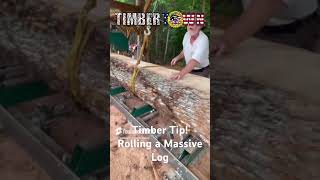 ROLLING A MASSIVE LOG [upl. by Suilenrac567]