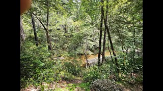 Dunlap Campground in Mendocino California [upl. by Danuloff]