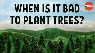 Does planting trees actually cool the planet  Carolyn Beans [upl. by Sybley226]