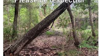 Lost Grave Inskip point Qld by Alan Keith [upl. by Cordle]