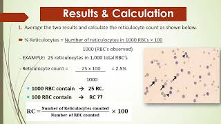 Reticulocyte count  3rd year [upl. by Fondea589]