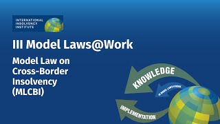 Introduction UNCITRALs Model Law on CrossBorder Insolvency Law [upl. by Aeki188]