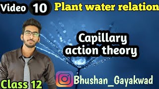 Capillary action theory  Part 10  Plant water relation class 12 [upl. by Ahtiekal993]