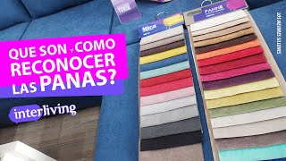 PANA  pelo largo o pelo corto  Antimanchas CÓMO DIFERENCIARLAS PROS Y CONTRAS  Tips Interliving [upl. by Manoop]