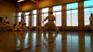 Treningssamling med Sensei Velibor Dimitrijevic 7 Dan [upl. by Giddings813]