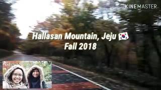 Autumn Hiking Hallasan ðŸ‡°ðŸ‡· [upl. by Bronez]