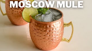 How to Make a Moscow Mule  Cocktails For Beginners [upl. by Ahserak797]