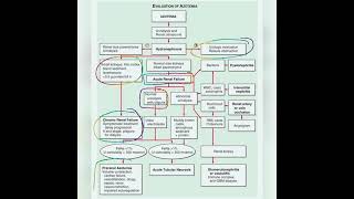 Approach to Azotemia Harrison [upl. by Ytsim]