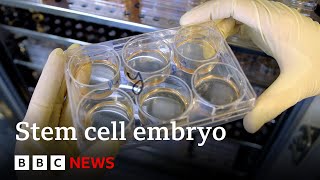 Scientists grow whole model of human embryo without sperm or egg  BBC News [upl. by Lunna]