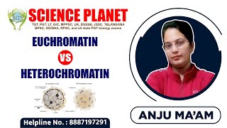 Euchromatin Vs Heterochromatin Explain by Anju Mam of Science Planet [upl. by Annirok504]