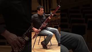 Bassoon Solo of The Day “Donna Lee” excerpt bassoon music bassoonist [upl. by Dosia]