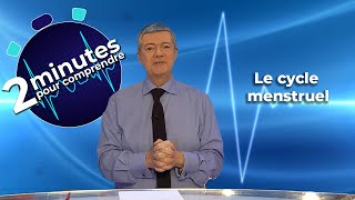 Le cycle menstruel  2 minutes pour comprendre [upl. by Cas]