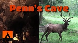 Penns Cave amp Wildlife Park Video Tour  Centre Hall PA [upl. by Llertnauq714]