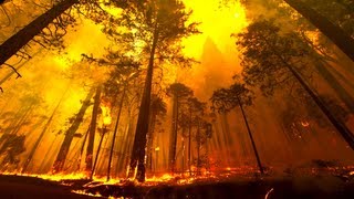 Yosemite Forest Fire Time Lapse and Flyover [upl. by Llerdnad]