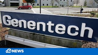 Genentech to close South San Francisco production facility lay off 250 employees company says [upl. by Myra639]