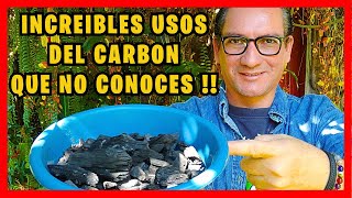 Increíbles BENEFICIOS DEL CARBON para todas las plantas del jardín y el huerto  Gio de la Rosa [upl. by Orozco165]