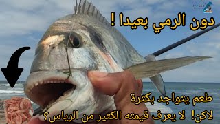 Pêche Au Maroc 2023صيد زريقةpêche dorade royalepesca dellorataseabream fishingpesca de dorada [upl. by Lili]